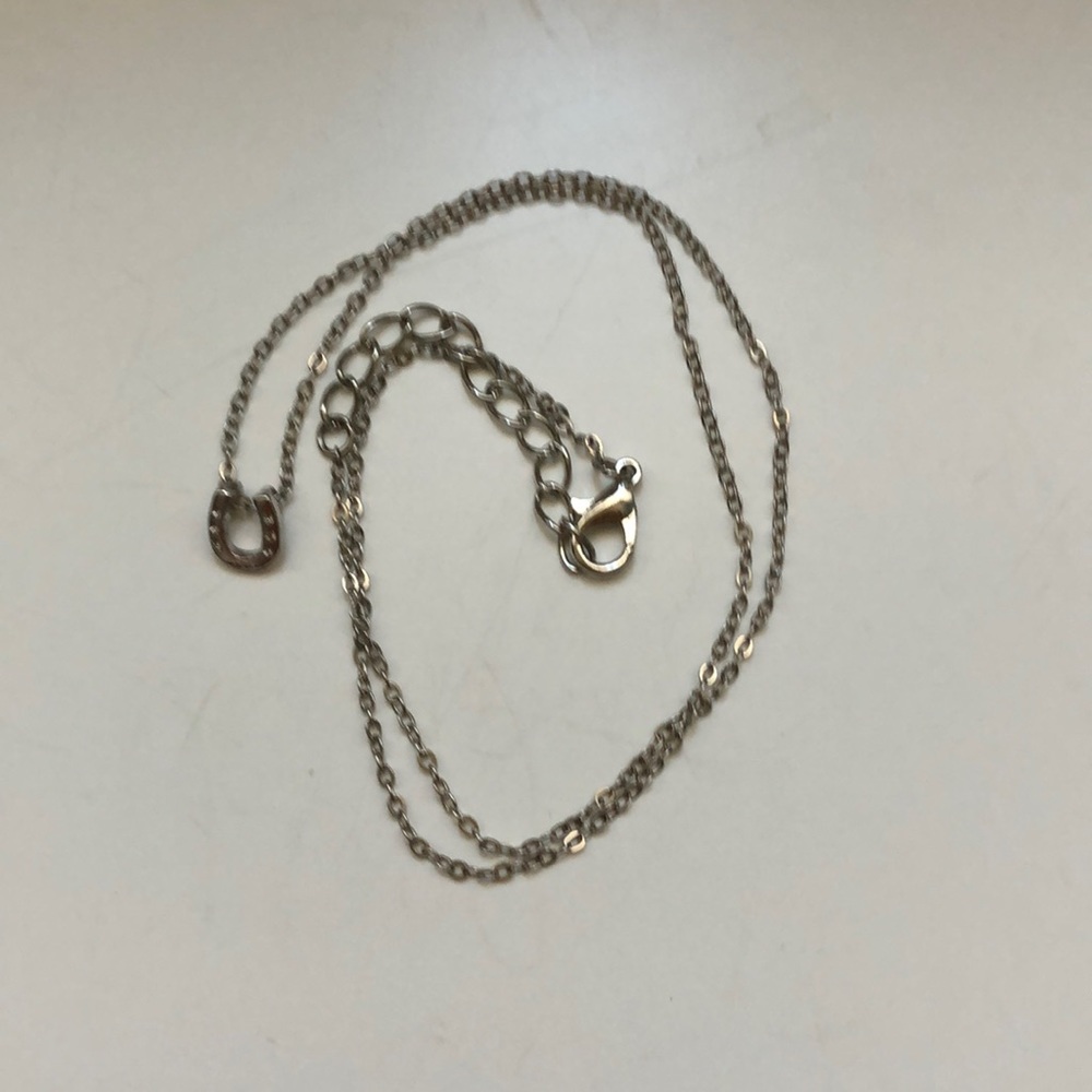 Lucky horse shoe